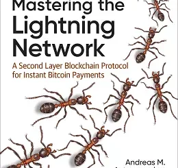 Mastering the Lightning Network: A Second Layer Blockchain Protocol for Instant Bitcoin Payments