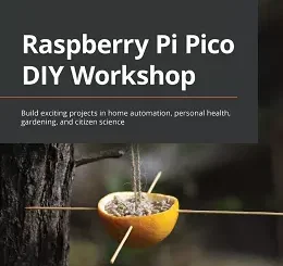 Raspberry Pi Pico DIY Workshop