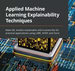 Applied Machine Learning Explainability Techniques