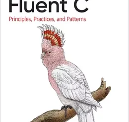 Fluent C: Principles, Practices, and Patterns
