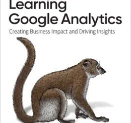 Learning Google Analytics: Creating Business Impact and Driving Insights