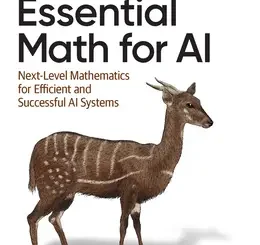 Essential Math for AI: Next-Level Mathematics for Efficient and Successful AI Systems
