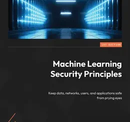 Machine Learning Security Principles