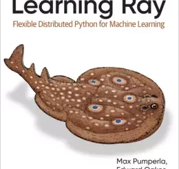 Learning Ray: Flexible Distributed Python for Machine Learning