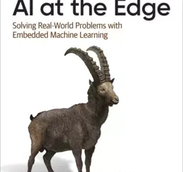 AI at the Edge: Solving Real-World Problems with Embedded Machine Learning