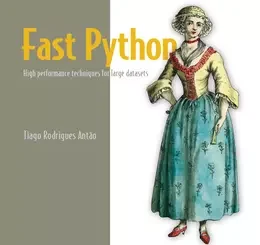 Fast Python: High performance techniques for large datasets