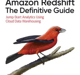 Amazon Redshift: The Definitive Guide: Jump-Start Analytics Using Cloud Data Warehousing