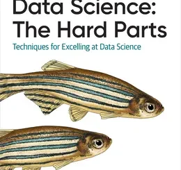 Data Science: The Hard Parts: Techniques for Excelling at Data Science