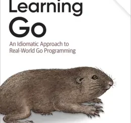 Learning Go: An Idiomatic Approach to Real-World Go Programming, 2nd Edition