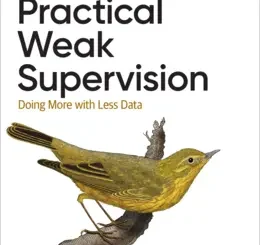 Practical Weak Supervision: Doing More With Less Data
