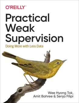 Practical Weak Supervision: Doing More With Less Data