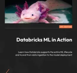 Databricks ML in Action