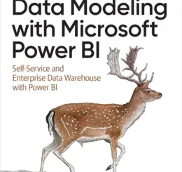 Data Modeling with Microsoft Power BI: Self-Service and Enterprise Data Warehouse with Power BI