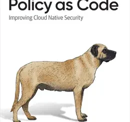 Policy as Code: Improving Cloud Native Security