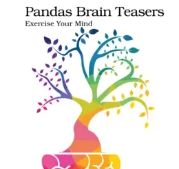 Pandas Brain Teasers: Exercise Your Mind