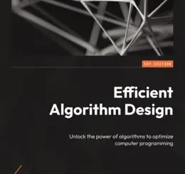 Efficient Algorithm Design