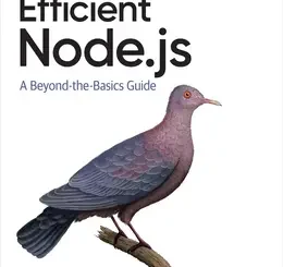 Efficient Node.js: A Beyond-the-Basics Guide