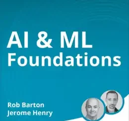 AI & ML Foundations (Video Course)