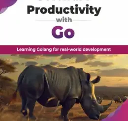 Software Productivity with Go