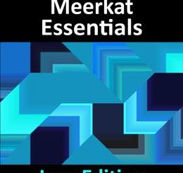 Android Studio Meerkat Essentials - Java Edition: Developing Android Apps Using Android Studio Meerkat and Java