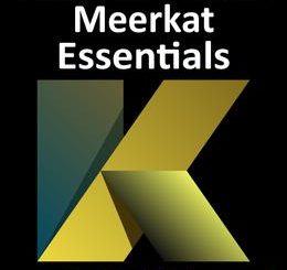 Android Studio Meerkat Essentials - Kotlin Edition: Developing Android Apps Using Android Studio Meerkat and Kotlin