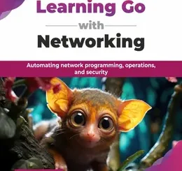 Learning Go with Networking