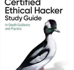 Certified Ethical Hacker (CEH) Study Guide: In-Depth Guidance and Practice