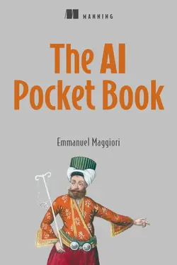 The AI Pocket Book
