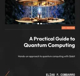 A Practical Guide to Quantum Computing