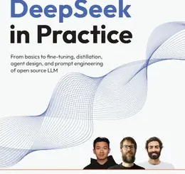 DeepSeek in Practice