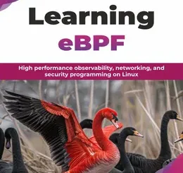 Learning eBPF