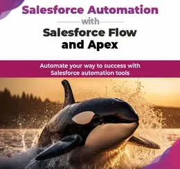 Salesforce Automation with Salesforce Flow and Apex