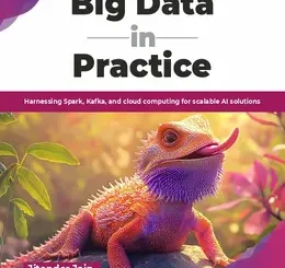 Big Data in Practice