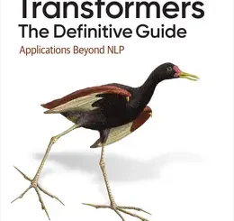 Transformers: The Definitive Guide: Applications Beyond NLP